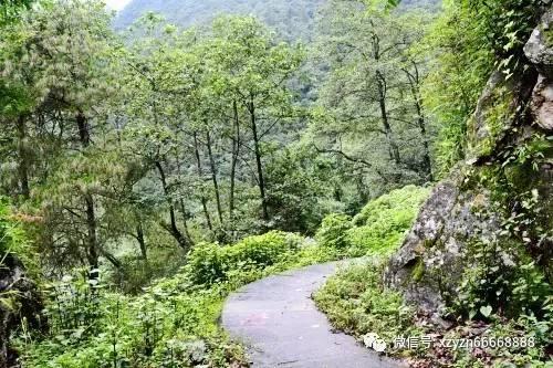全民烧脑3去广告版